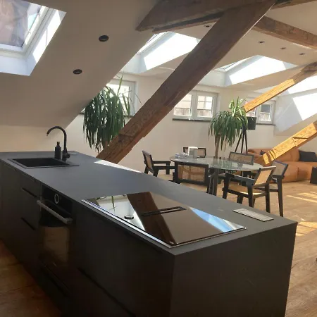 Apartment Rooftop Loft *