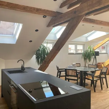 Apartment Rooftop Loft Split